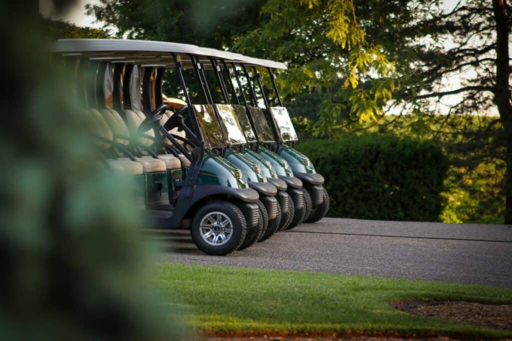 Golf Cart Rental San Pancho Transportation