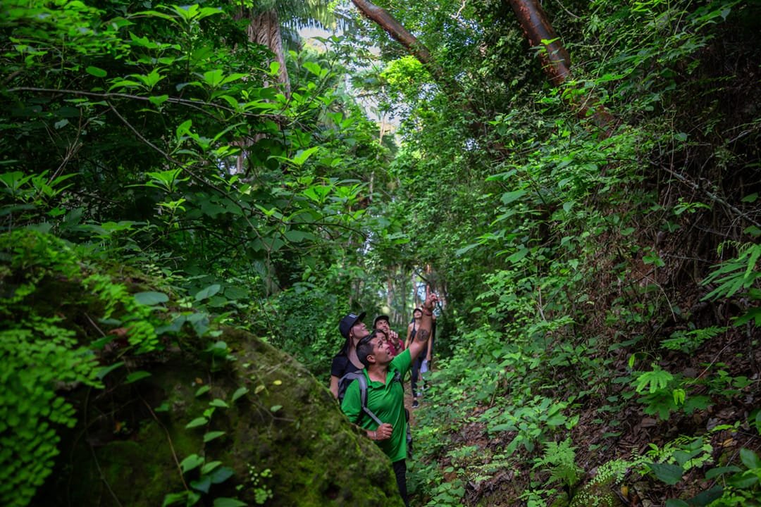 Hiking-cerro-del-mono-Punta-de-Mita-Tour-Puerto-Vallarta-Tours-001